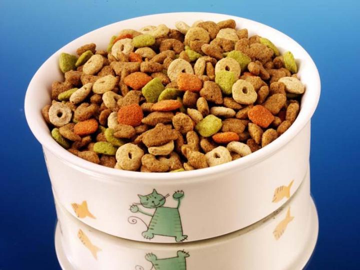 Cat Nutrition Outremont